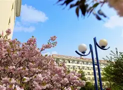 包含大连人对阵青岛黄海，谁将实现胜利？的词条